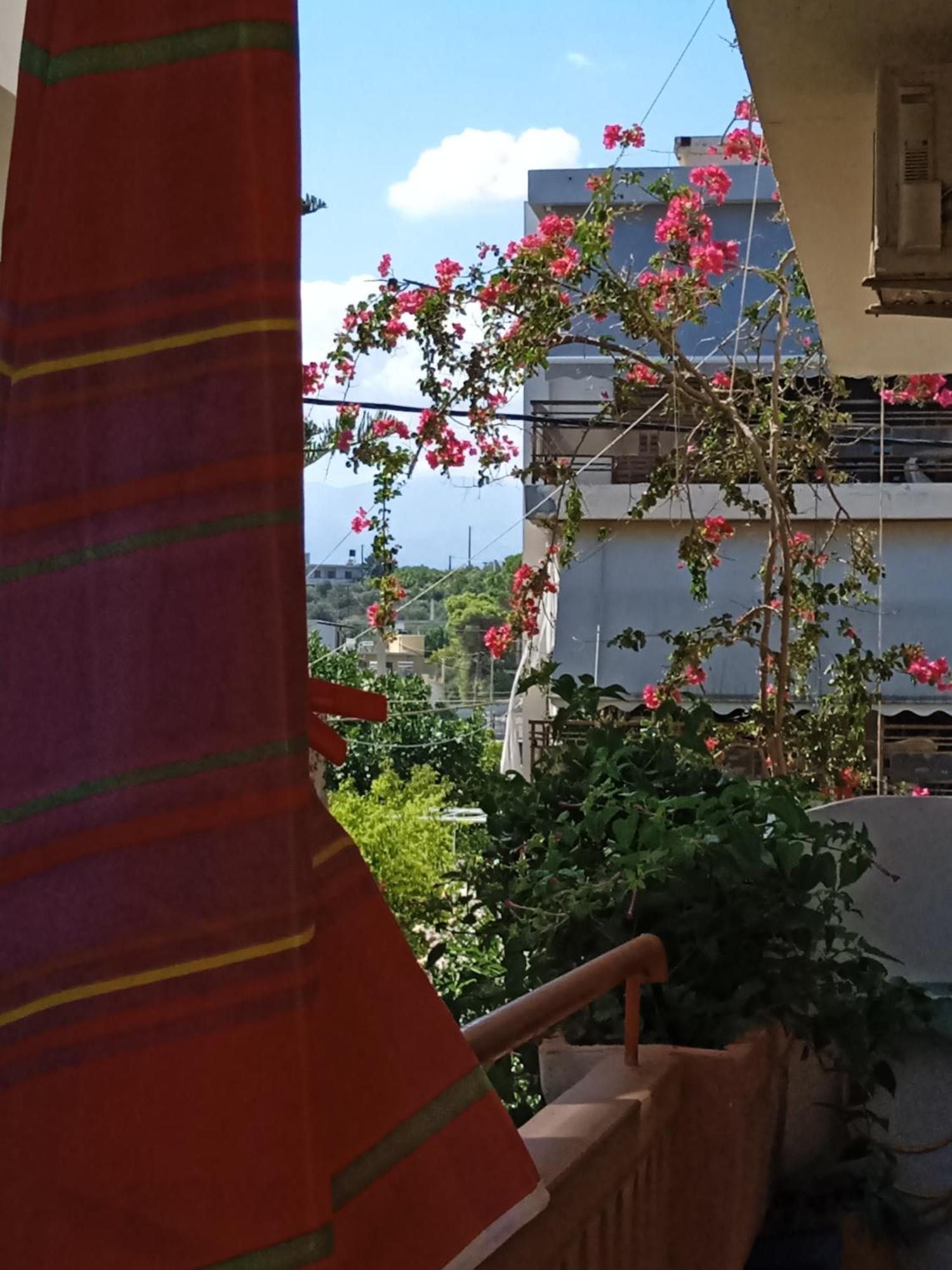 Ilona Apartments Chania Като-Даратсо Номер фото