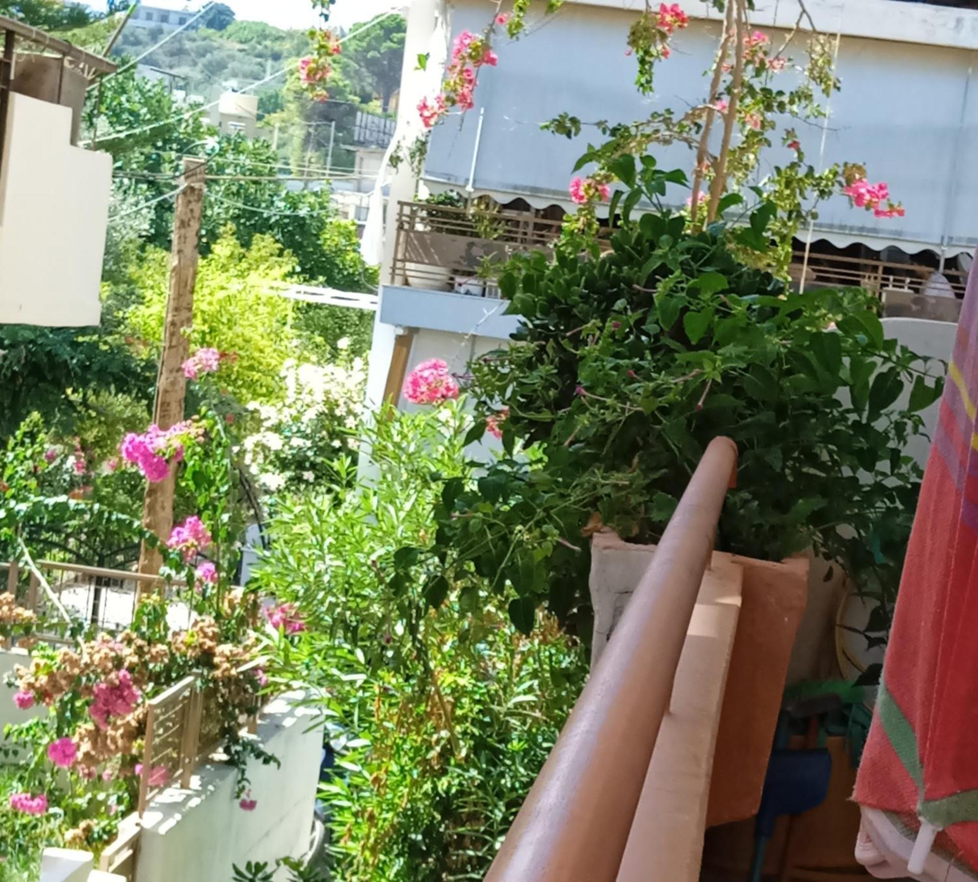 Ilona Apartments Chania Като-Даратсо Номер фото