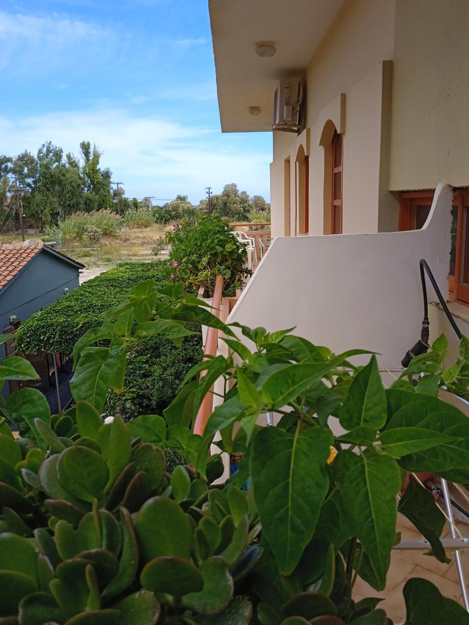 Ilona Apartments Chania Като-Даратсо Номер фото