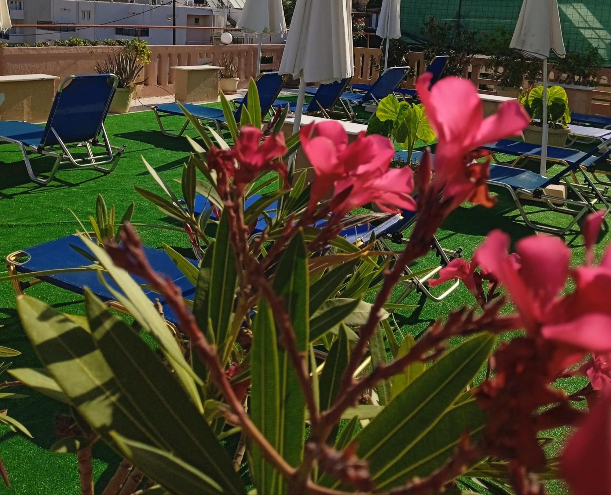 Ilona Apartments Chania Като-Даратсо Номер фото